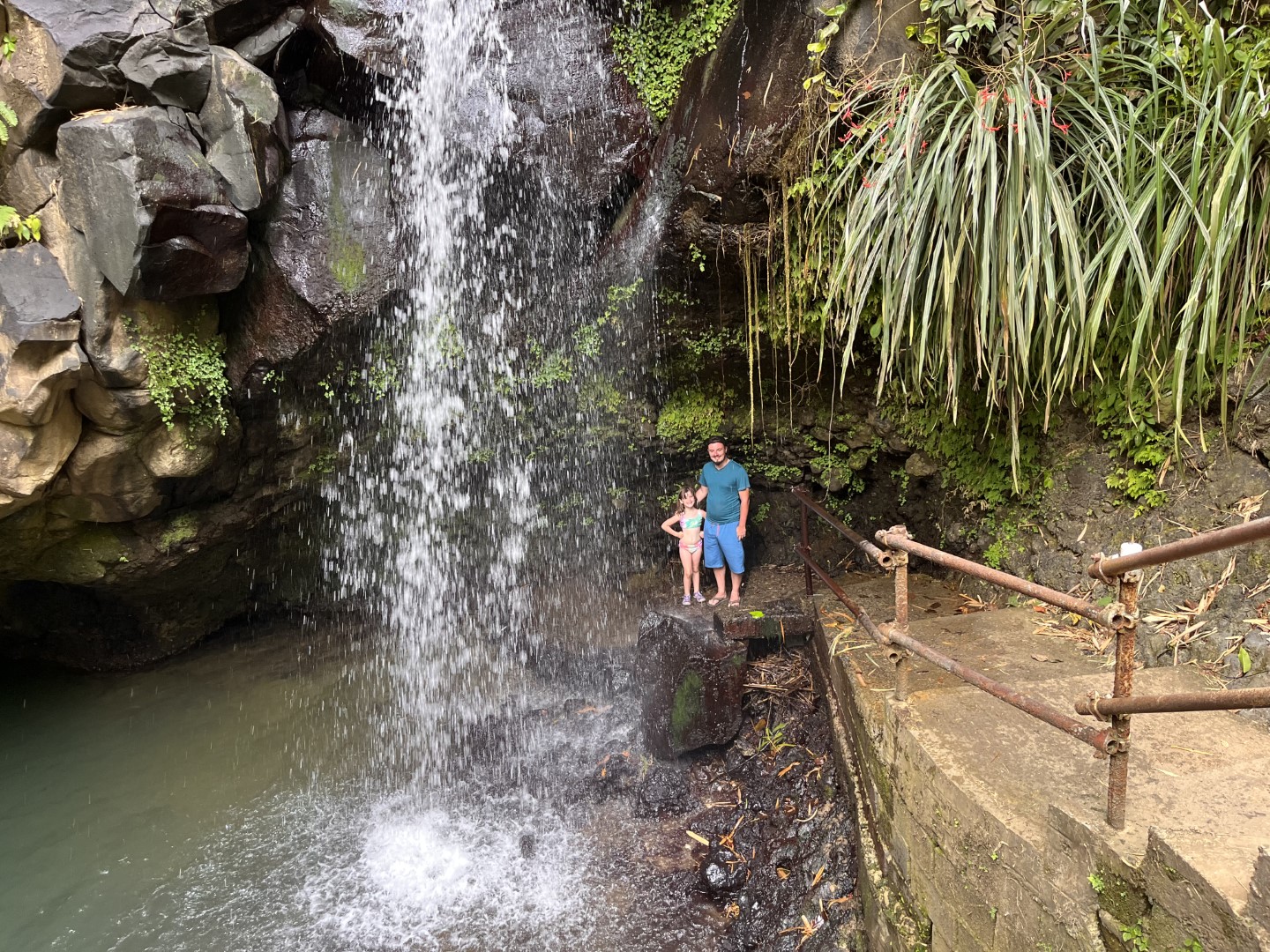 Annandale Falls travel moment 4